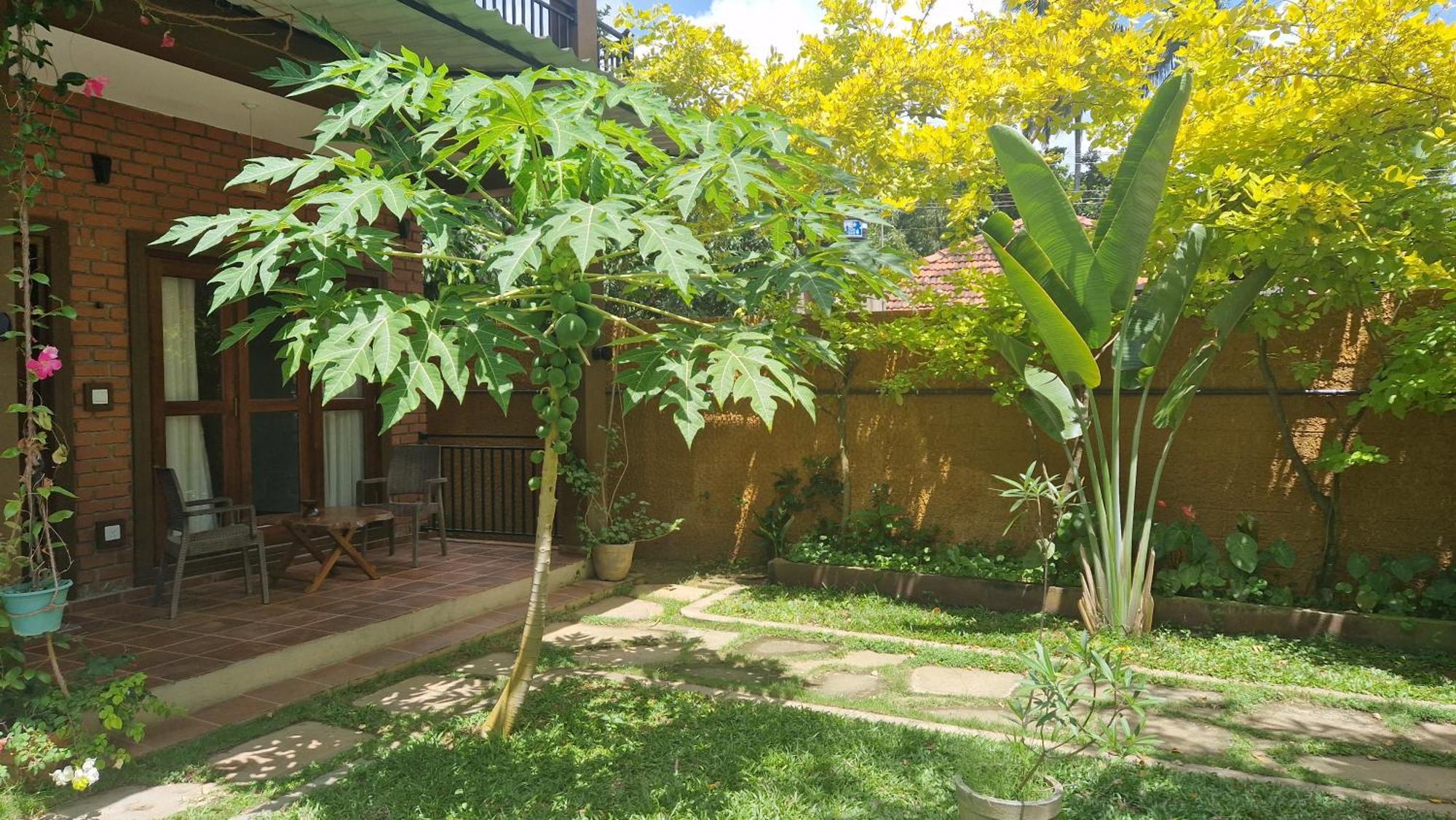 Hotel Millet'S Food Company And Cooking Center Negombo Exterior foto